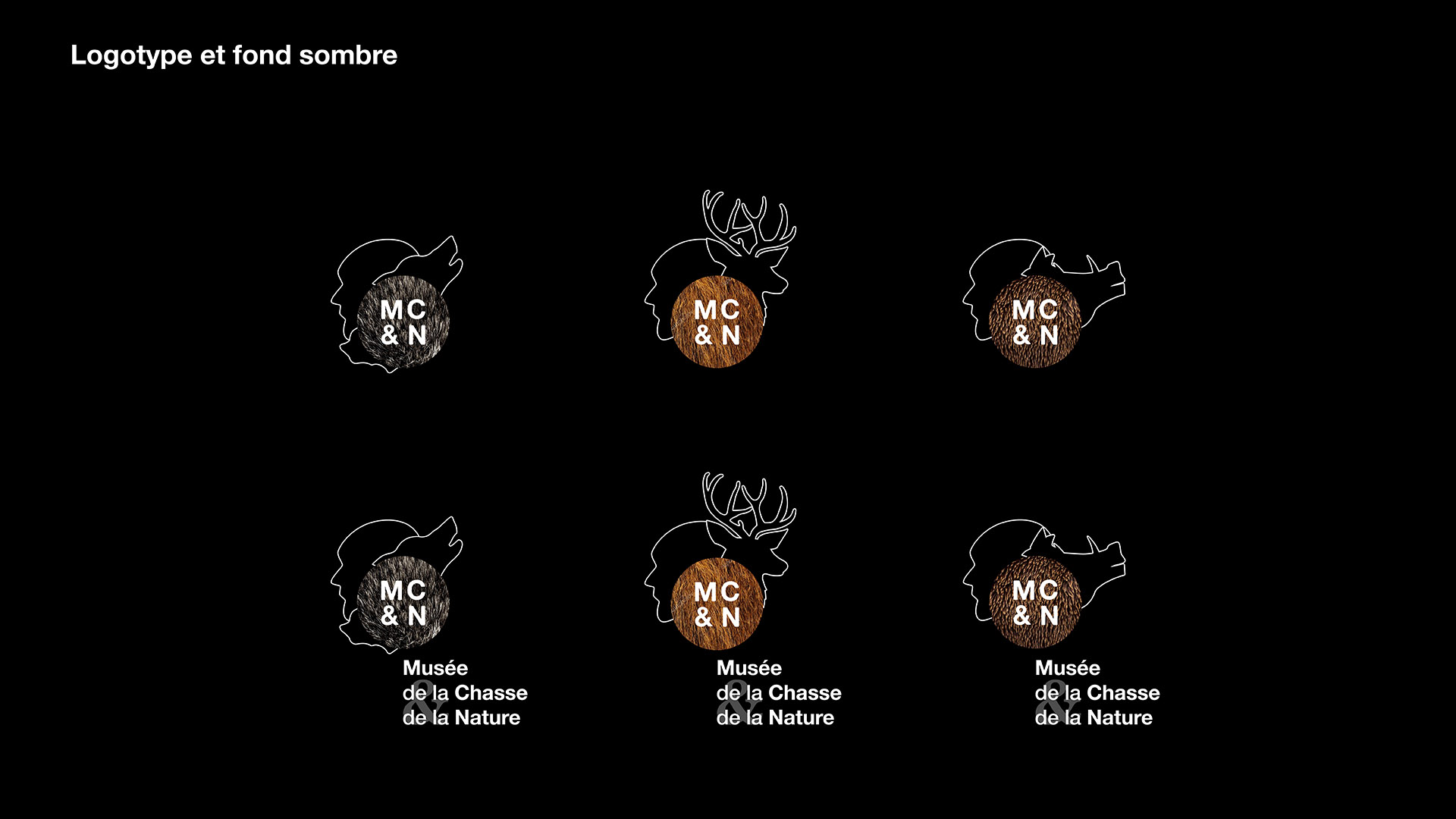 Image du projet de la refonte graphique du musée de la chasse et de la nature