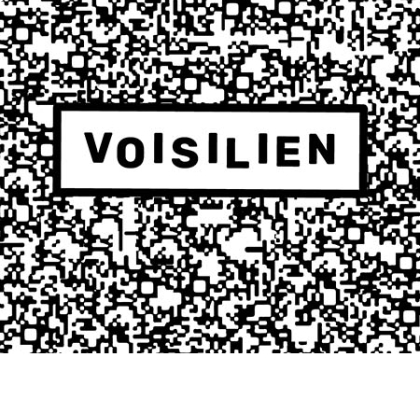 image illustrant le projet voisilien