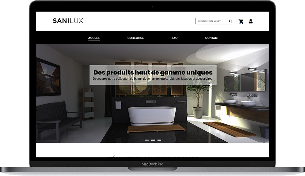 Image de la maquette du projet Sanilux